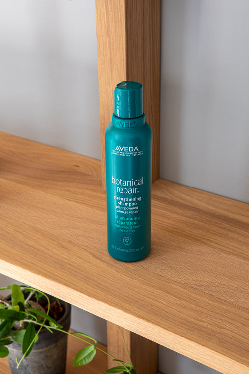 Aveda Botanical Repair Strengthening Shampoo på en trehylle mot grå vegg, med en grønn plante